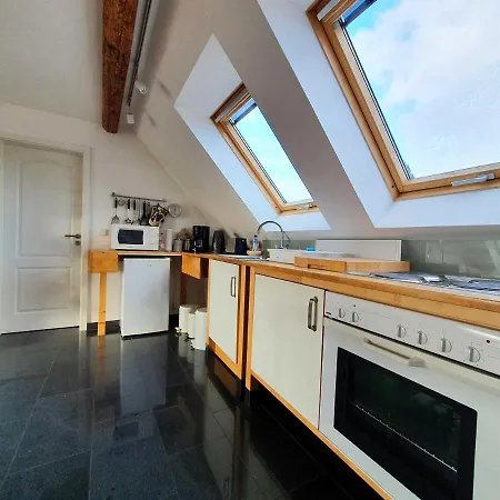 Apartment Ferienwohnung Kremer Benneckenstein